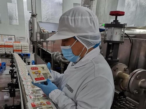 一塊豆腐的上海漂流記 L-脯氨酸的生產奧秘